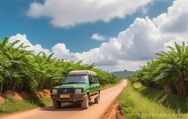 나이지리아에서 자동차 운전하기 - Vibrant Nigerian City Traffic - A Symphony of Movement and Sound**
"A dynamic, wide-angle shot of a ...